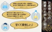 《9月末までの限定寄付額》【Beeft】京都老舗肉屋の西京味噌漬け1.4kg(国産鶏)(240g×6パック)［ 京都 老舗精肉店 鶏肉 西京漬 人気 おすすめ 鳥肉 チキン 肉 ギフト お取り寄せ 通販 送料無料 ふるさと納税 ］