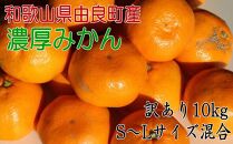 【訳あり・ご家庭用】 和歌山由良町産のみかん 約10kg サイズ混合 ［TM201］