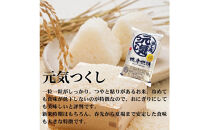 令和7年産&nbsp;福岡県産米&nbsp;食べ比べセット(夢つくし・元気つくし)&nbsp;合計10kg&nbsp;(各5kg×1袋ずつ)