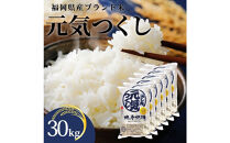 令和7年産&nbsp;福岡県産米&nbsp;元気つくし&nbsp;合計30kg&nbsp;(&nbsp;5kg×6袋&nbsp;)