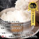 新米！！令和7年産&nbsp;福岡県産米&nbsp;元気つくし&nbsp;合計20kg&nbsp;(&nbsp;5kg×4袋&nbsp;)