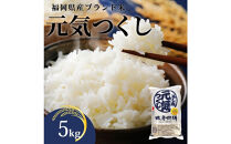 【化粧箱入り】令和7年産&nbsp;福岡県産米&nbsp;元気つくし&nbsp;5kg&nbsp;(&nbsp;5kg×1袋&nbsp;)