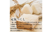【化粧箱入り】令和7年産&nbsp;福岡県産米&nbsp;元気つくし&nbsp;5kg&nbsp;(&nbsp;5kg×1袋&nbsp;)