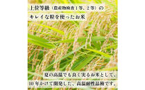 【化粧箱入り】令和7年産&nbsp;福岡県産米&nbsp;元気つくし&nbsp;5kg&nbsp;(&nbsp;5kg×1袋&nbsp;)
