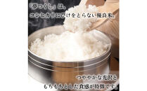 【化粧箱入り】令和7年産&nbsp;福岡県産米&nbsp;夢つくし&nbsp;5kg&nbsp;(&nbsp;5kg×1袋&nbsp;)