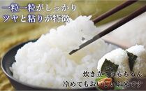 ＜全3回定期便＞令和7年米&nbsp;福岡県産&nbsp;米&nbsp;【無洗米】金のめし丸元気つくし&nbsp;5kg