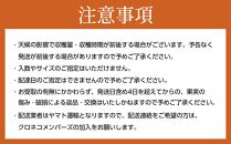 ［2026年10月上旬～発送］和歌山県産 秀品 平核無柿 約7.5kg L ~ 2L サイズ 青秀品 たねなし柿 種無し柿 選果場 直送