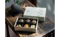 ＩＲＯＭＩＳＯ　みそ玉詰め合わせ　６個セット「琥珀」