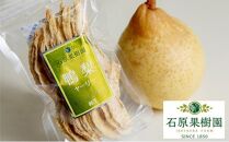 石原果樹園&nbsp;純生&nbsp;ヤーリー梨&nbsp;ドライフルーツ&nbsp;15袋（1袋30g）