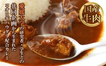 愛媛大学共同企画 愛媛県内子町産イエコオロギパウダー 国産牛肉 タンパク質 食物繊維 鉄分 亜鉛 うちこおろぎスープカレー4個セット