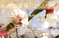 紀州南高梅 はちみつ極 塩分約6％ 850g ［YM10］
