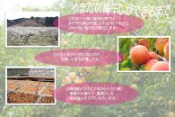 紀州南高梅 はちみつ極 塩分約6％ 850g ［YM10］