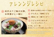紀州南高梅&nbsp;しそプレミアム塩分約6％&nbsp;500g&nbsp;［YM13］