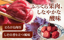 紀州南高梅&nbsp;しそ&nbsp;塩分約15％&nbsp;500g&nbsp;［YM5］