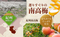 紀州南高梅&nbsp;はちみつ極&nbsp;塩分約6％&nbsp;500g&nbsp;［YM9］