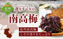 紀州南高梅&nbsp;しそプレミアム塩分約6％&nbsp;500g&nbsp;［YM13］