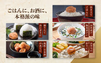 紀州南高梅&nbsp;しそプレミアム塩分約6％&nbsp;500g&nbsp;［YM13］