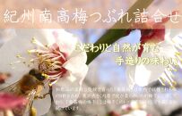 ご家庭用 大容量 紀州南高梅 つぶれ梅 うす塩としそ漬の詰合せ ［YM17］