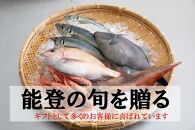 【4月25日お届け】【復興支援】調理ラクラク！能登の魚おまかせセット（2人前）