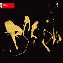 類家心平／RS5pb (LP)
