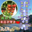 ミニトマト3.2kg (200g×16パック詰め）