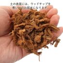 【観葉植物】青年の木（ユッカ）8号 ストライプバスケット鉢カバー 土の表面：ウッドチップ ｜観葉植物 インテリア 部屋 おしゃれ 福岡県筑前町 送料無料