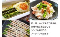 【朝採り直送】春芽アスパラガス&nbsp;1kg&nbsp;(2L-Lサイズ)&nbsp;福岡県産&nbsp;2026年