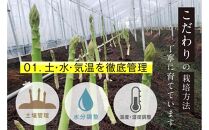 【朝採り直送】春芽アスパラガス&nbsp;1kg&nbsp;(L-Mサイズ)&nbsp;福岡県産&nbsp;2026年