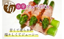 【朝採り直送】春芽アスパラガス&nbsp;1kg&nbsp;(L-Mサイズ)&nbsp;福岡県産&nbsp;2026年