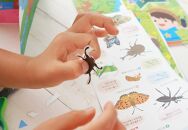 くるっと工作ブック５冊セット