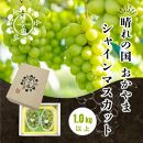 岡山県産&nbsp;シャインマスカット&nbsp;1kg以上（2～3房）＜2026年9月上旬～10月下旬発送＞&nbsp;|&nbsp;フルーツ&nbsp;果物&nbsp;くだもの&nbsp;シャインマスカット&nbsp;マスカット&nbsp;岡山&nbsp;岡山県産&nbsp;国産&nbsp;ギフト&nbsp;贈答用&nbsp;プレゼント&nbsp;シャインマスカット&nbsp;マスカット&nbsp;おすすめ&nbsp;人気&nbsp;シャインマスカット&nbsp;マスカット