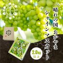 岡山県産&nbsp;シャインマスカット&nbsp;2kg以上（3～4房）＜2026年9月上旬～10月下旬発送＞&nbsp;|&nbsp;フルーツ&nbsp;果物&nbsp;くだもの&nbsp;シャインマスカット&nbsp;マスカット&nbsp;岡山&nbsp;岡山県産&nbsp;国産&nbsp;ギフト&nbsp;贈答用&nbsp;プレゼント&nbsp;シャインマスカット&nbsp;マスカット&nbsp;おすすめ&nbsp;人気&nbsp;シャインマスカット&nbsp;マスカット