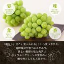 岡山県産&nbsp;シャインマスカット&nbsp;2kg以上（3～4房）＜2026年9月上旬～10月下旬発送＞&nbsp;|&nbsp;フルーツ&nbsp;果物&nbsp;くだもの&nbsp;シャインマスカット&nbsp;マスカット&nbsp;岡山&nbsp;岡山県産&nbsp;国産&nbsp;ギフト&nbsp;贈答用&nbsp;プレゼント&nbsp;シャインマスカット&nbsp;マスカット&nbsp;おすすめ&nbsp;人気&nbsp;シャインマスカット&nbsp;マスカット