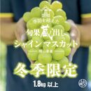 【旬果蔵出し】岡山県産&nbsp;シャインマスカット&nbsp;1.8kg以上（2～3房）＜2026年12月上旬～2027年1月中旬発送＞
