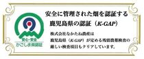 安納芋 安納こがね『幻の芋』 希少品種　うれしい2サイズのハーフ＆ハーフ 合計5kg