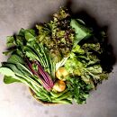 ◆全12回定期便◆【つくだ農園】《有機JAS認証&nbsp;有機野菜10品入り》京都の棚田大原で心を込めて大切に露地栽培された大地の恵みたっぷりの有機野菜!［&nbsp;有機野菜&nbsp;京都&nbsp;野菜&nbsp;有機栽培&nbsp;定期便&nbsp;セット&nbsp;季節の野菜&nbsp;おまかせ&nbsp;詰め合わせ&nbsp;産地直送&nbsp;新鮮&nbsp;ミシュラン&nbsp;錦市場&nbsp;人気&nbsp;送料無料&nbsp;おすすめ&nbsp;ふるさと納税&nbsp;］