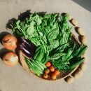 ◆全12回定期便◆【つくだ農園】《有機JAS認証&nbsp;有機野菜10品入り》京都の棚田大原で心を込めて大切に露地栽培された大地の恵みたっぷりの有機野菜!［&nbsp;有機野菜&nbsp;京都&nbsp;野菜&nbsp;有機栽培&nbsp;定期便&nbsp;セット&nbsp;季節の野菜&nbsp;おまかせ&nbsp;詰め合わせ&nbsp;産地直送&nbsp;新鮮&nbsp;ミシュラン&nbsp;錦市場&nbsp;人気&nbsp;送料無料&nbsp;おすすめ&nbsp;ふるさと納税&nbsp;］