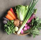 ◆全12回定期便◆【つくだ農園】《有機JAS認証&nbsp;有機野菜10品入り》京都の棚田大原で心を込めて大切に露地栽培された大地の恵みたっぷりの有機野菜!［&nbsp;有機野菜&nbsp;京都&nbsp;野菜&nbsp;有機栽培&nbsp;定期便&nbsp;セット&nbsp;季節の野菜&nbsp;おまかせ&nbsp;詰め合わせ&nbsp;産地直送&nbsp;新鮮&nbsp;ミシュラン&nbsp;錦市場&nbsp;人気&nbsp;送料無料&nbsp;おすすめ&nbsp;ふるさと納税&nbsp;］