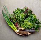 ◆全12回定期便◆【つくだ農園】《有機JAS認証&nbsp;有機野菜10品入り》京都の棚田大原で心を込めて大切に露地栽培された大地の恵みたっぷりの有機野菜!［&nbsp;有機野菜&nbsp;京都&nbsp;野菜&nbsp;有機栽培&nbsp;定期便&nbsp;セット&nbsp;季節の野菜&nbsp;おまかせ&nbsp;詰め合わせ&nbsp;産地直送&nbsp;新鮮&nbsp;ミシュラン&nbsp;錦市場&nbsp;人気&nbsp;送料無料&nbsp;おすすめ&nbsp;ふるさと納税&nbsp;］