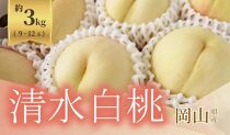 《2025年発送》岡山県産 清水白桃 約3kg 9～12玉