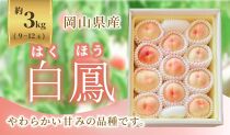 《2025年発送》岡山県産&nbsp;桃&nbsp;白鳳&nbsp;約3kg&nbsp;9～12玉