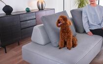 【本体取替カバー(同色)セット】&nbsp;リバティ2&nbsp;ソファ&nbsp;160cm&nbsp;3人掛け&nbsp;ライトグレー【モーブル】【大川家具】