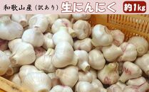 和歌山県産 生にんにく 約1kg ご家庭用 ［TM202］