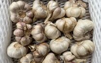 和歌山県産&nbsp;生にんにく&nbsp;約1kg&nbsp;ご家庭用&nbsp;&nbsp;★2027年4月下旬より順次発送［TM202］