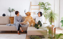 【本体取替カバー(同色)セット】&nbsp;ミゲル&nbsp;ソファ&nbsp;200cm&nbsp;3人掛け&nbsp;スモークアイボリー【モーブル】【大川家具】