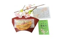 不断桜大原實&nbsp;30個入