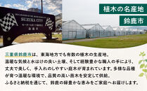 【産地直送】元気なタマリュウ(7.5pot)80本セット[約2平方メートル分]