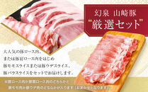 ＜農場発送&nbsp;鈴鹿さくらポーク＞幻泉&nbsp;山崎豚&nbsp;厳選セット&nbsp;3kg