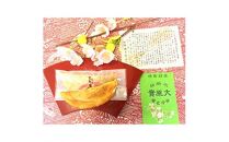 不断桜大原實&nbsp;20個入