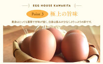 たまごジャム2個セット&300日の幸せたまご(30個入り)